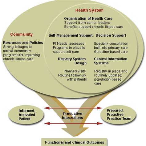 Chronic Care Model De Wagner Vs Modelo Kaiser Permanente Flashcards