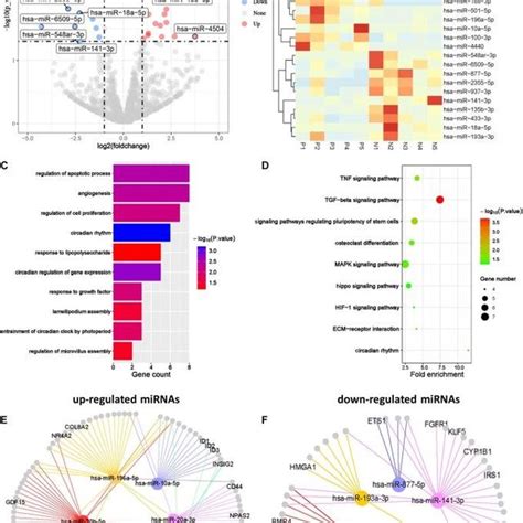 The Mirna Profiles Of Human Pcos A Volcano Plot Comparing Mirna