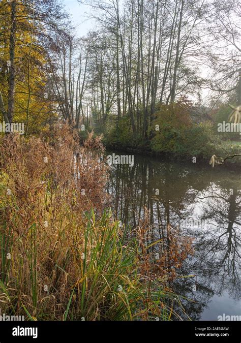 autumn in germany Stock Photo - Alamy