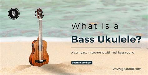 Bass Ukulele The Complete Guide Gearank