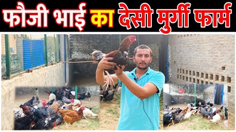 फज भई क Desi Murgi Farm Desi Poultry Farming Desi Murgi