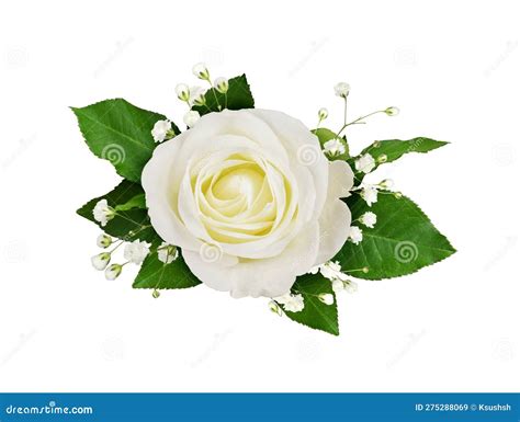 White Rose And Gypsophila Flowers In A Floral Arrangement Isolated