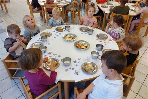 La Settimana Delle Api Giardino D Infanzia Delfino Blu