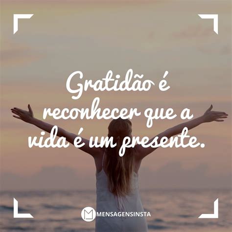 Gratidão é reconhecer que a vida é um presente Mensagens Frases