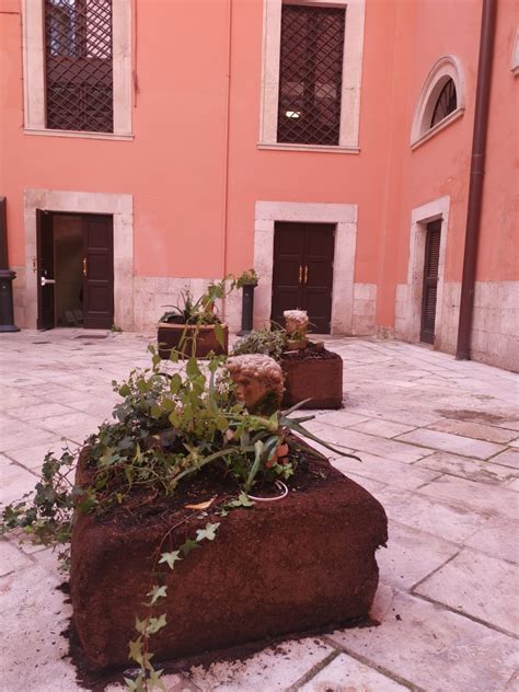 Bari Nellatrio Di Palazzo Di Citt Linstallazione Work Of Nature