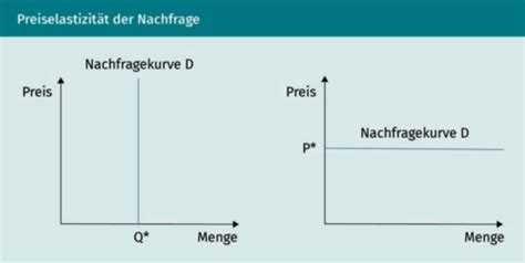 Elastizit Ten Karteikarten Quizlet