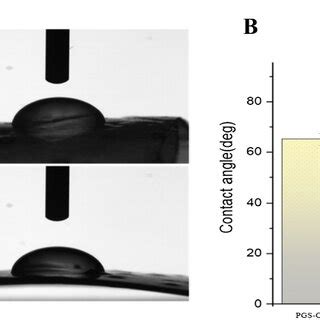 A The Images Present The Contact Angle Results Of A PGS Co PCL B