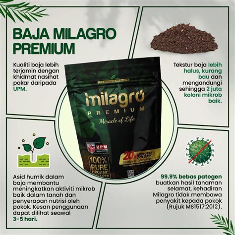 Baja Milagro Baja Booster Tanaman Baja Organik Sayur Sayuran