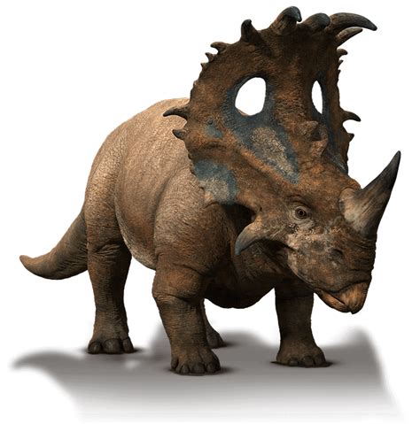 Sinoceratops - Park Pedia - Jurassic Park, Dinosaurs, Stephen Spielberg ...