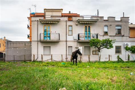 UPPER Stories A Campo Boario UPPER LATINA