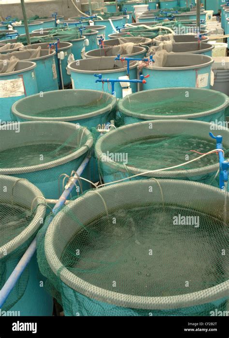 Agriculture Aquaculture Water System Farm Stock Photo Alamy