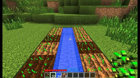 How To Create An Efficient Farm How To Make Plants Grow Faster Minecraft Youtube