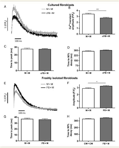 Figure From Functional Crosstalk Between Cardiac Fibroblasts And