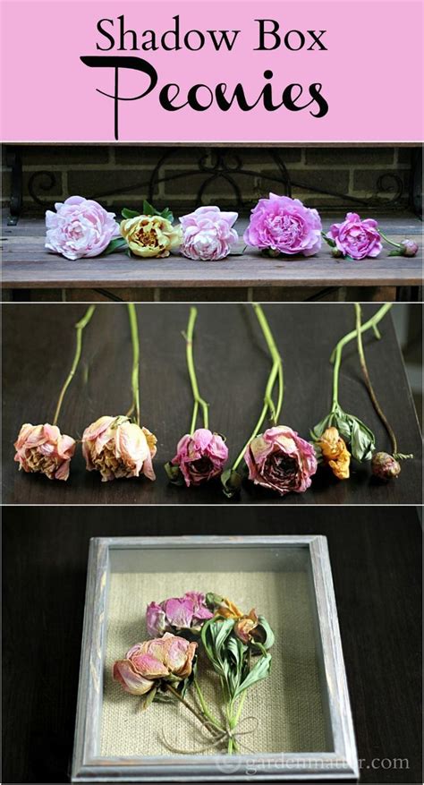 This Fun And Simple Craft Can Be Easily Made With Any Dried Flower Here We Created One With