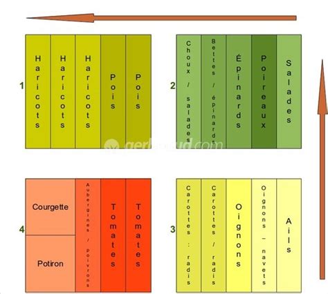 Pdf Les Tapes De La Planification Des Cultures En Mara Chage