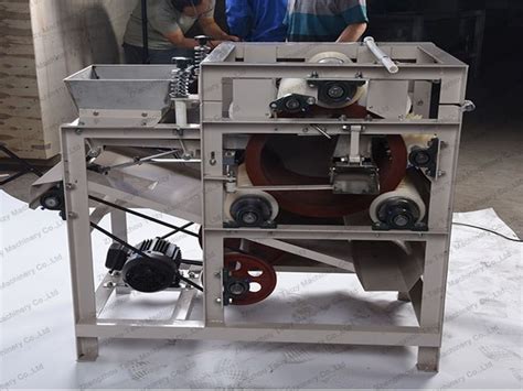 Peanut Wet Peeling Machine For Raw Peanuts Taizy Machinery