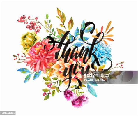 118 Thank You Water Colour Stock Photos High Res Pictures And Images