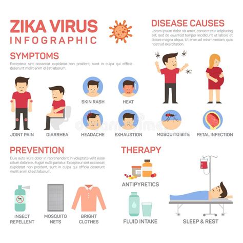 Zika Virus Infographic Zika Virus Und Dengue Fieber Virus Vektor