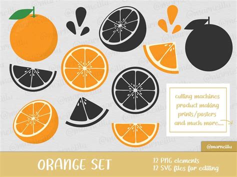 Orange Fruit Svg Clipart Set Image Printable Png Citrus Instant