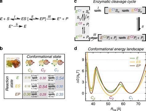 Energy Landscape Of T4l A Extended Michaelismenten Scheme B T4l