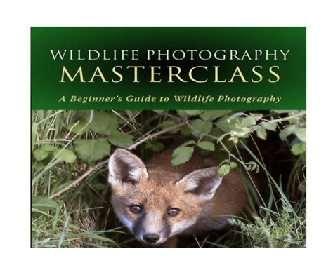 Wildlife Photography Masterclass - A Beginner's Guide To Wildlife ...