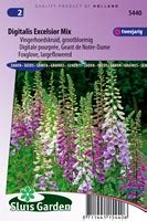 Buy Foxglove Excelsior Mix Order Seeds Online At Seeds Garden