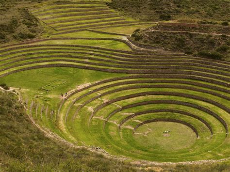 Inca Agriculture