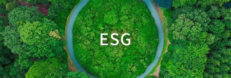 Esg影响力：如何提升企业形象和品牌价值？