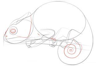 Cham Leon Zeichnen Lernen Schritt F R Schritt Tutorial Zeichnen