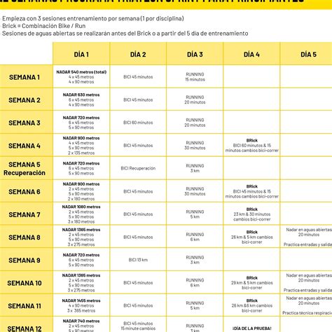 Plan de entrenamiento de natación para triatlón Squad Fitness