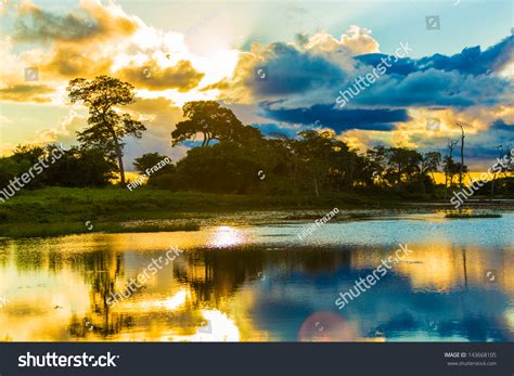 Colorful Sunset In Pantanal River Pantanal Is One Of The Worlds Largest Tropical Wetland