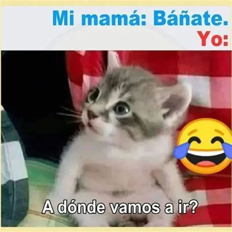 Somos Mamás on Instagram Jajaja que amerita ese baño Imágenes