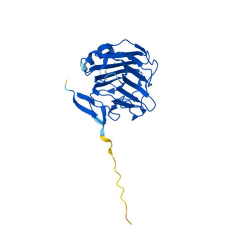 Rcsb Pdb Af Afa Kph F Computed Structure Model Of Pentaxin