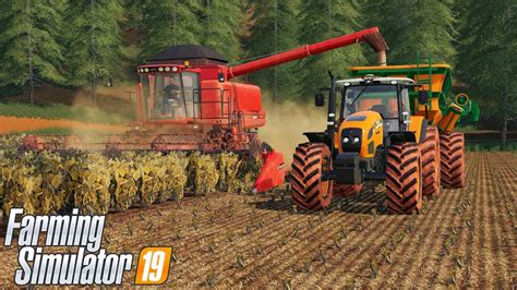 Primeira Safra Da Nova Fazenda Farming Simulator Ponte Funda