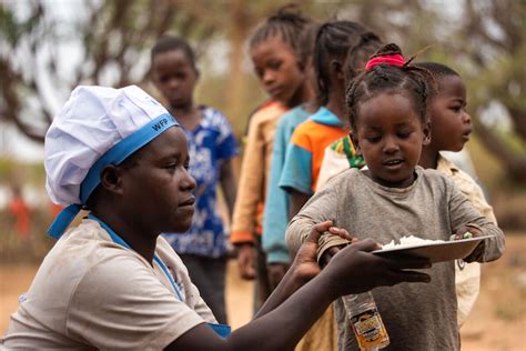 Centro De Excel Ncia Do Wfp E Fao Discutem Programas De Alimenta O