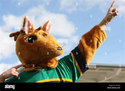 Mascot Grand National Stock Photo - Alamy