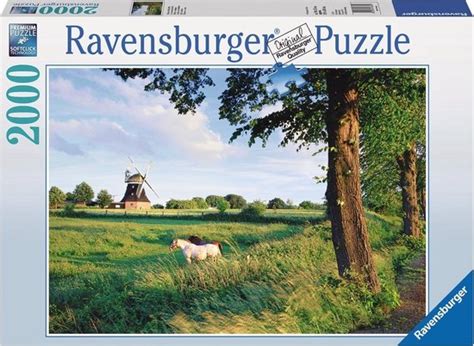 Ravensburger Ydillisch Landschap Legpuzzel Bol