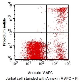 Annexin V Apc Pi Apoptosis Detection Kit Detection Kit Annexin V