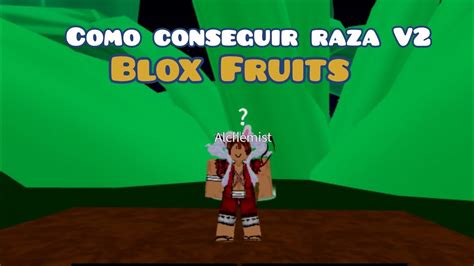 Como Conseguir Tu Raza V2 En Blox Fruits YouTube