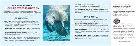 florida manatee laws 5