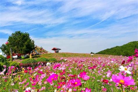 木兰草原风景区怎么样木兰草原风景区有什么好玩的旅泊网