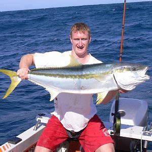 South Africa Fishing Yellowtail Amberjack | AfricaHunting.com