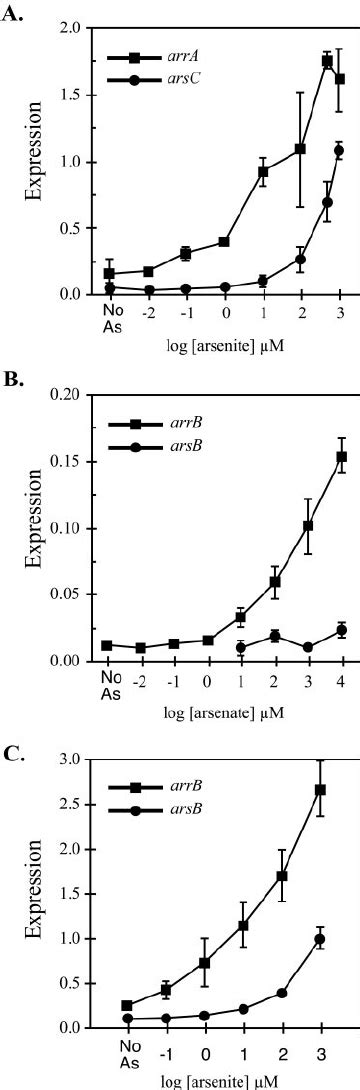 Effect Of Increasing Arsenic Concentrations On Expression Of Arr Or Ars