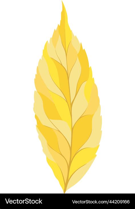 Ash Tree Leaf Royalty Free Vector Image Vectorstock