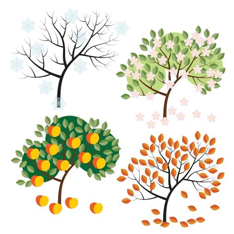 Apple Tree Seasons Art