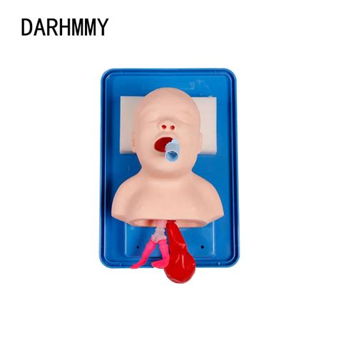 Darhmmy Modelo De Entrenamiento De Intubaci N Traqueal Neonatal