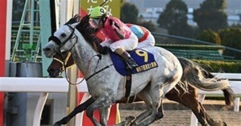 12月29日（金）大井競馬「全」レース必勝表 東京大賞典の日も！｜リアル両津