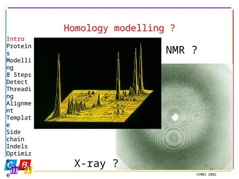 Ppt Cmbi Homology Modelling X Ray Nmr Intro Proteins