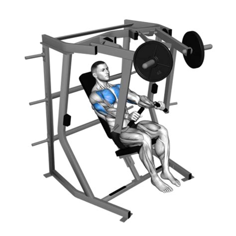 Decline Chest Press Machine Smash Your Limit BurnFit