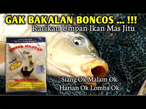 Gak Bakalan Boncos Umpan Ikan Mas Ampuh Untuk Lomba Maupun Harian